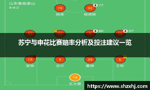 苏宁与申花比赛赔率分析及投注建议一览